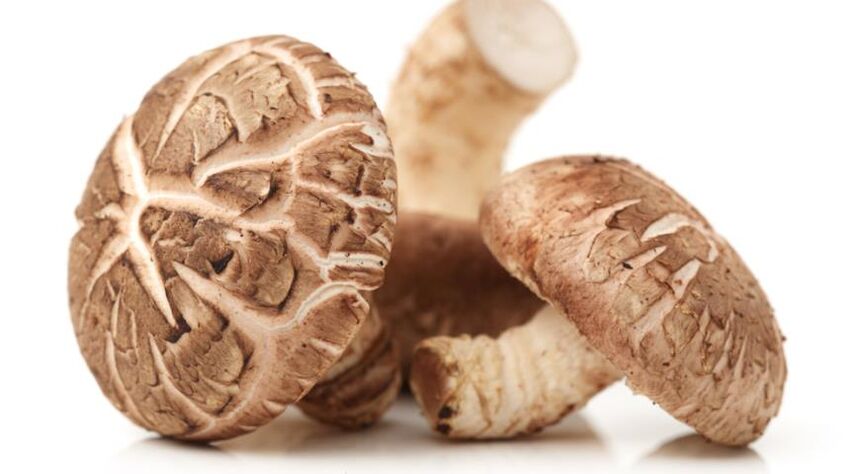 I funghi shiitake fanno parte di Prostamin Forte
